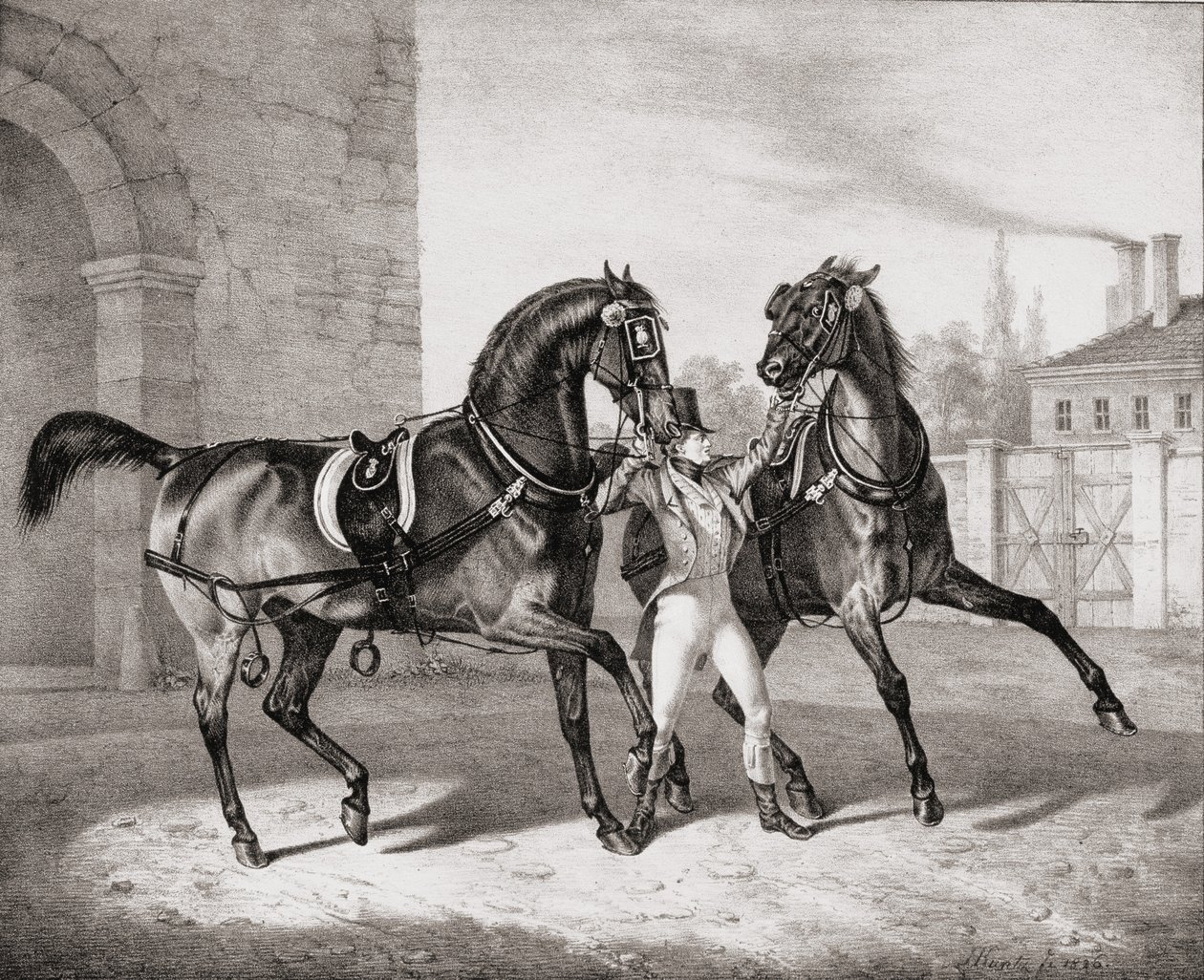 İngiltere Kralı için Araba Atları, 1836 by French School