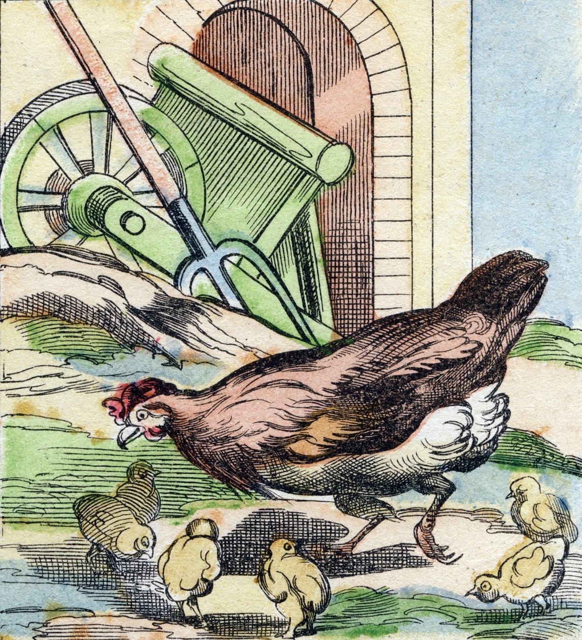 Tavuk ve civciv. "Buffon Alphabet des Oiseaux n 2" de gravür. 3. Serie N 2. Epinal