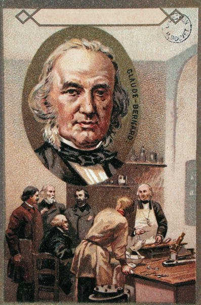 Claude Bernard (1813-78) (kromolito) by French School