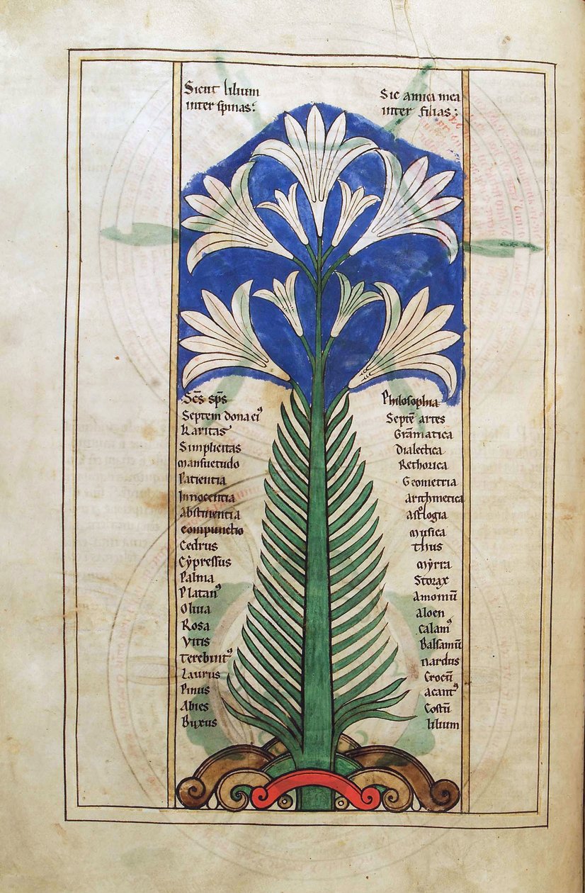 Morina. Guelf. 1 Güd. en. (31v), Bir Zambak (lily longiflorum), Liber Floridus