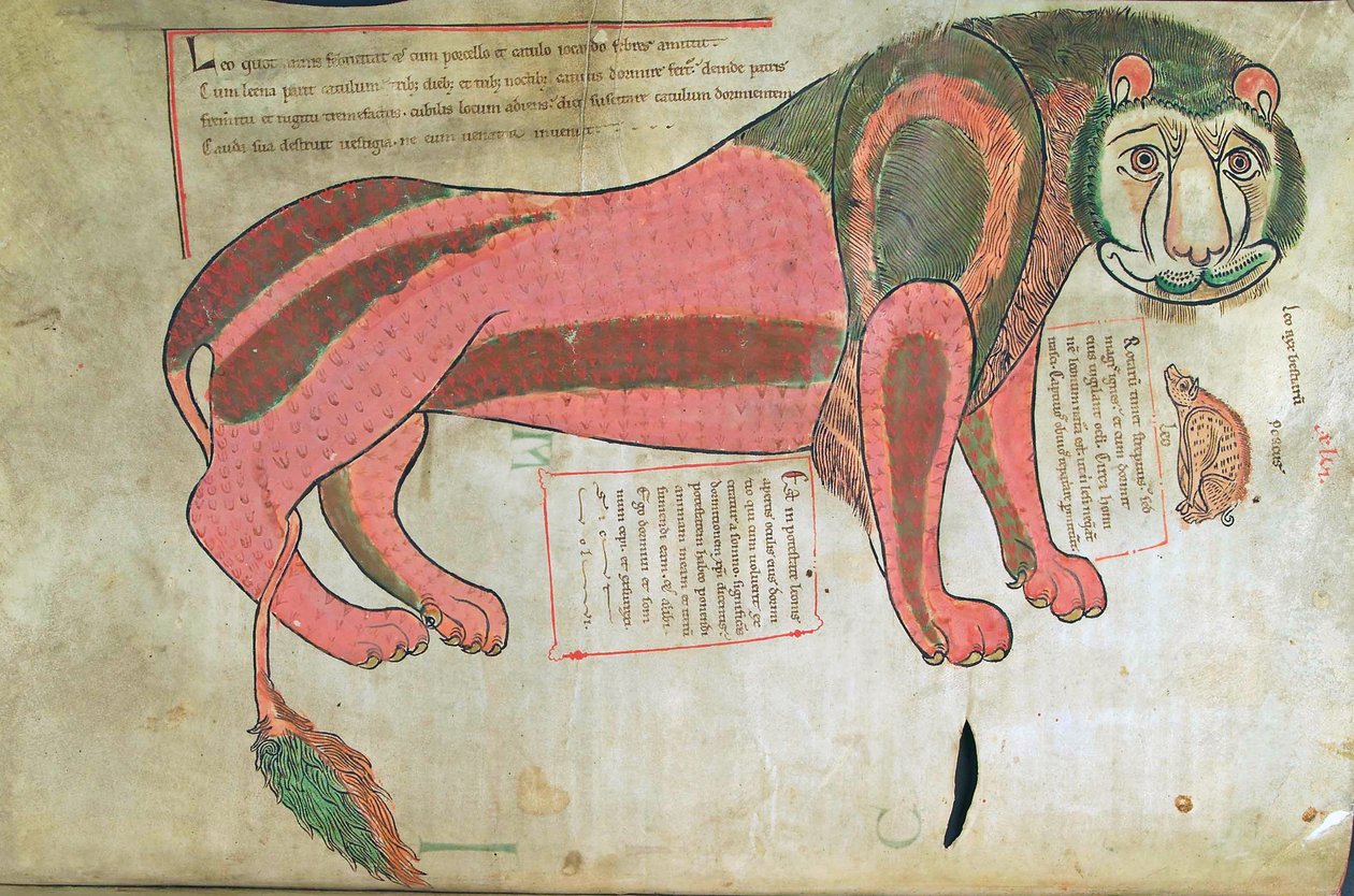 Morina. Guelf. 1 Güd. en. (37v), Aslan ve Domuz, Liber Floridus