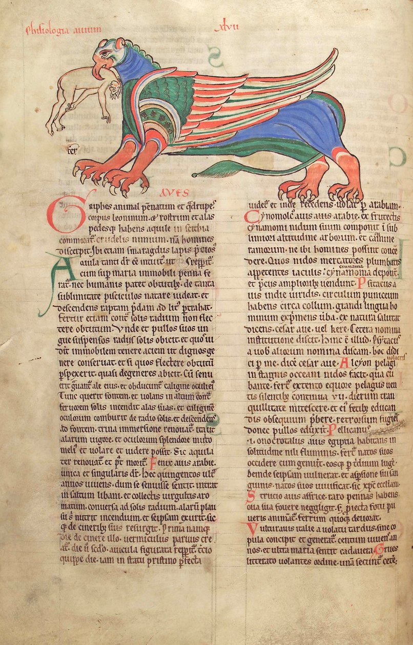 Morina. Guelf. 1 Güd. en. 39v, Bir Adamı Yiyen Bir Griffin, Liber Floridus