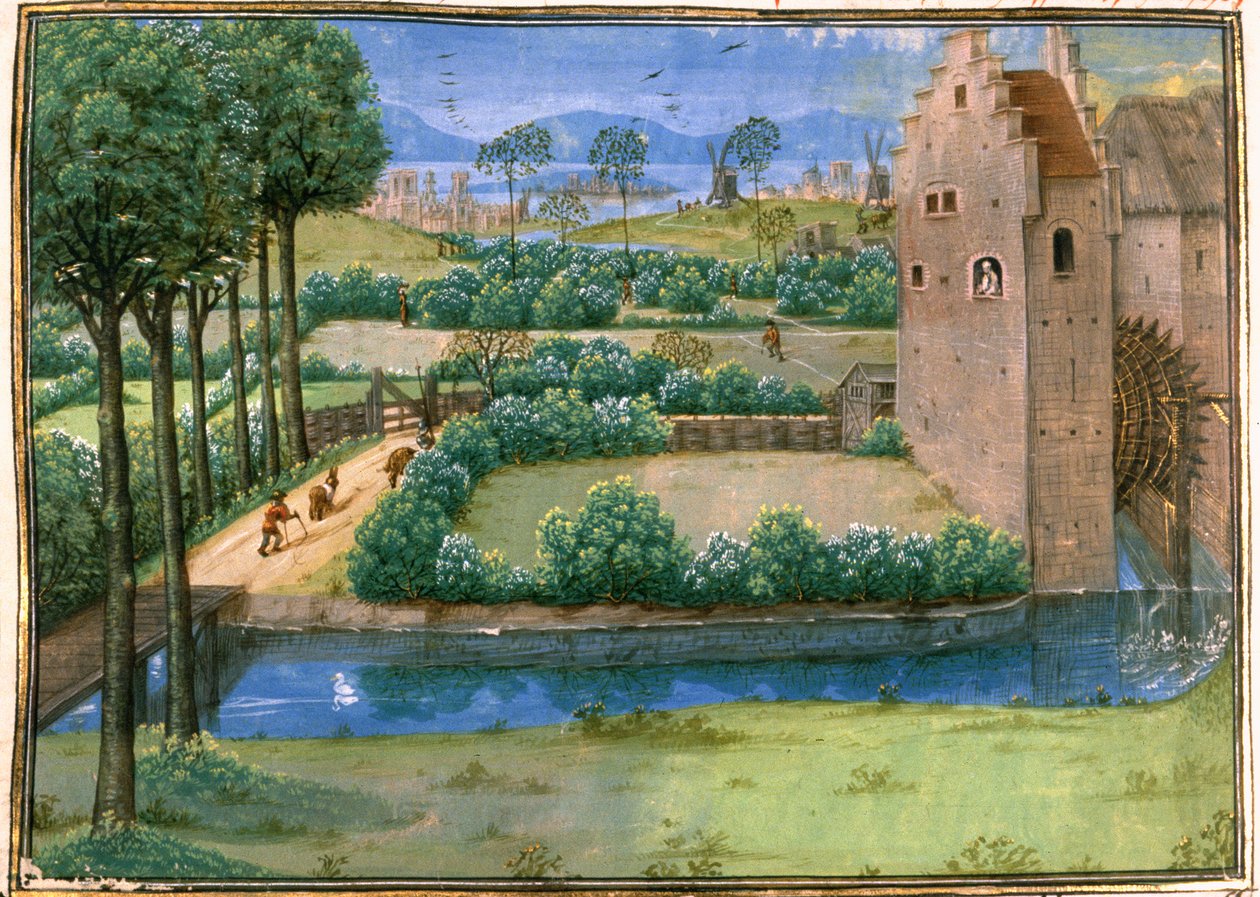 Cott Aug AV f.345v Ön planda bir su değirmeni ve arka planda bir yel değirmeni ile Flaman manzarası, 