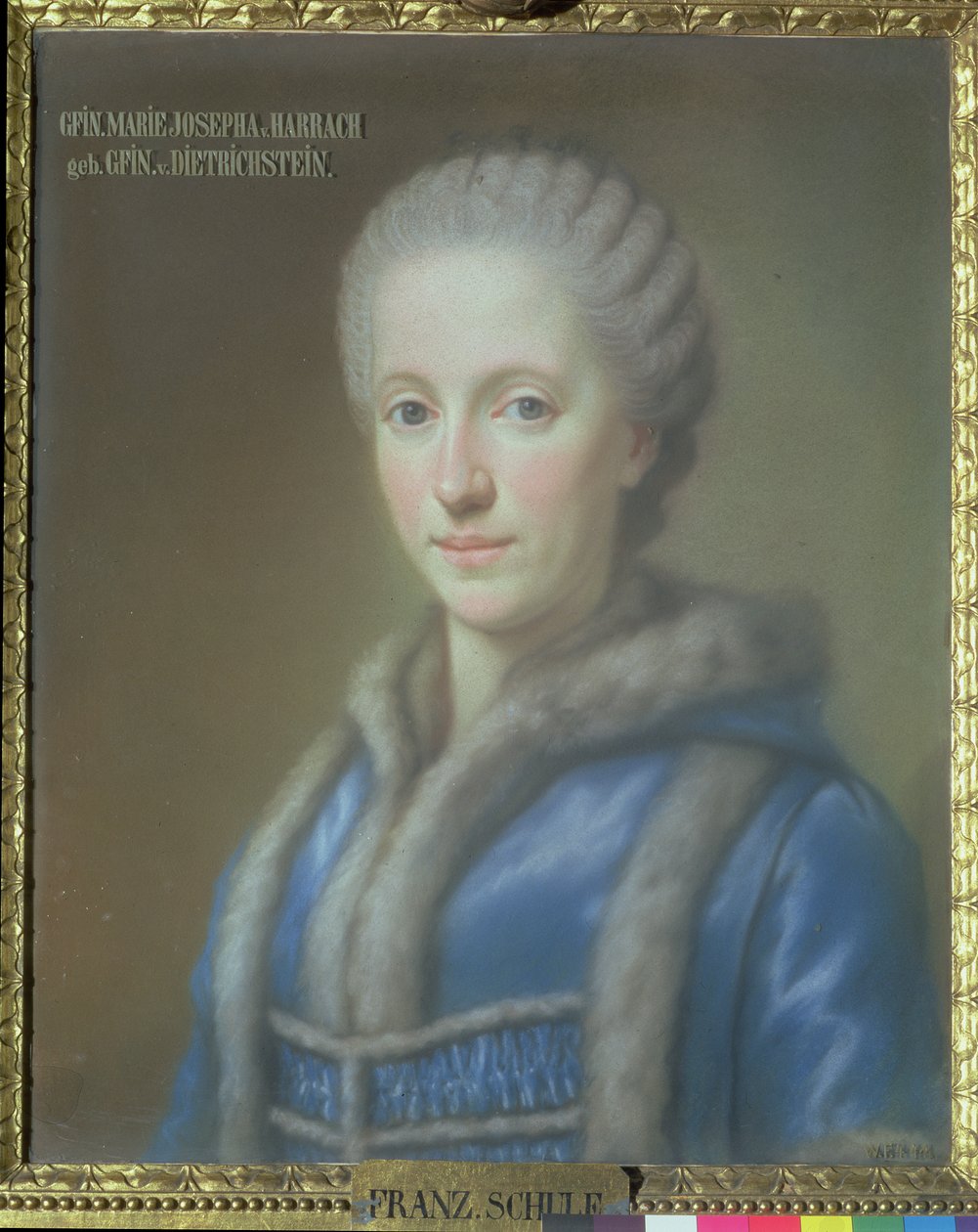 Kontes Maria Josepha von Harrach, Kont Guido von Harrach