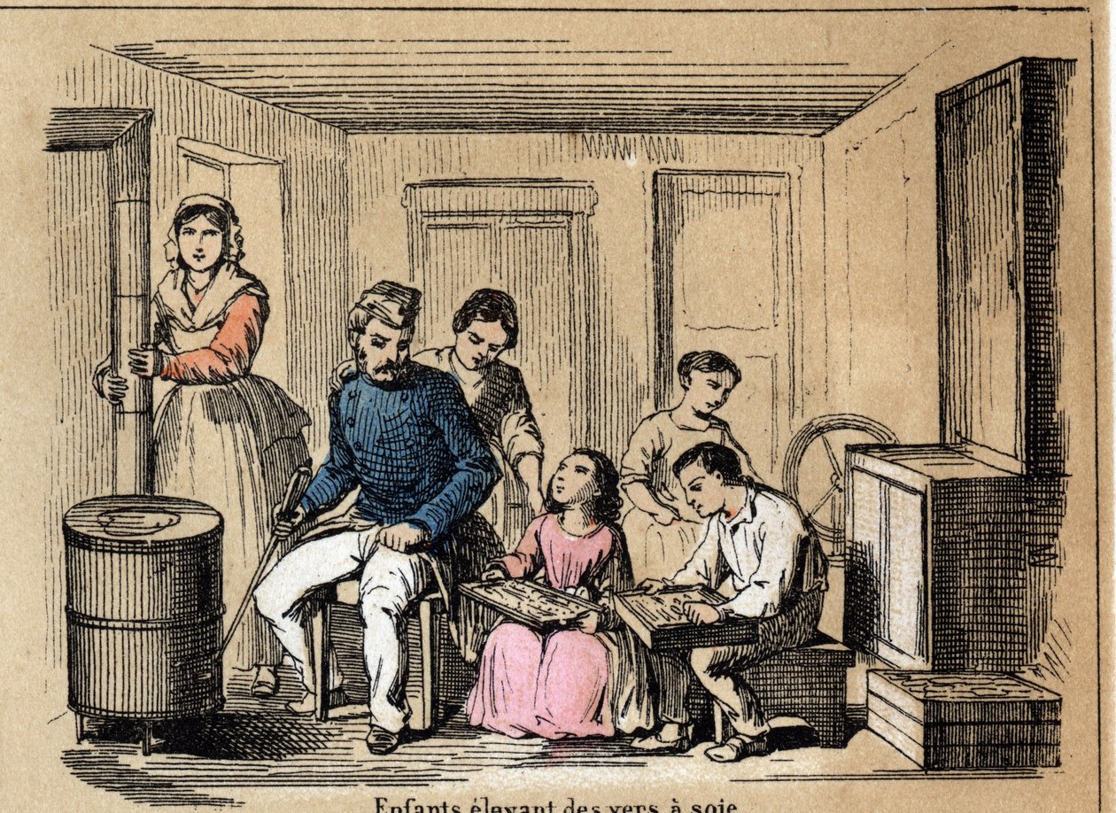 Kültür tanımı ve ipek ürünleri: ipekböceği yetiştiren çocuklar. “Les Recreations Instructives” içindeki “la soie” levhası Jules DELBRUCK imzalı sinoptik resim, 1860 tarihli gravür. Özel koleksiyon. by French School