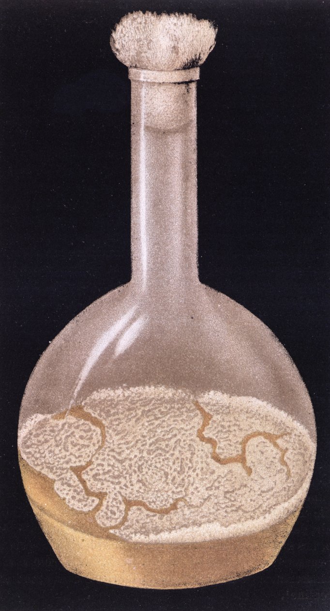 Isidore Strauss (1845-96) 1895 tarafından La Tuberculose et oğlu Bacile