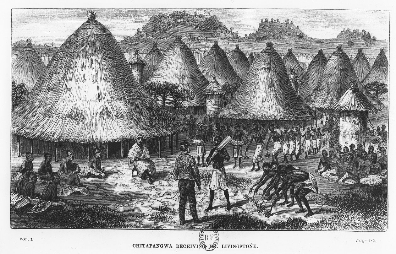 David Livingstone, Orta Afrika