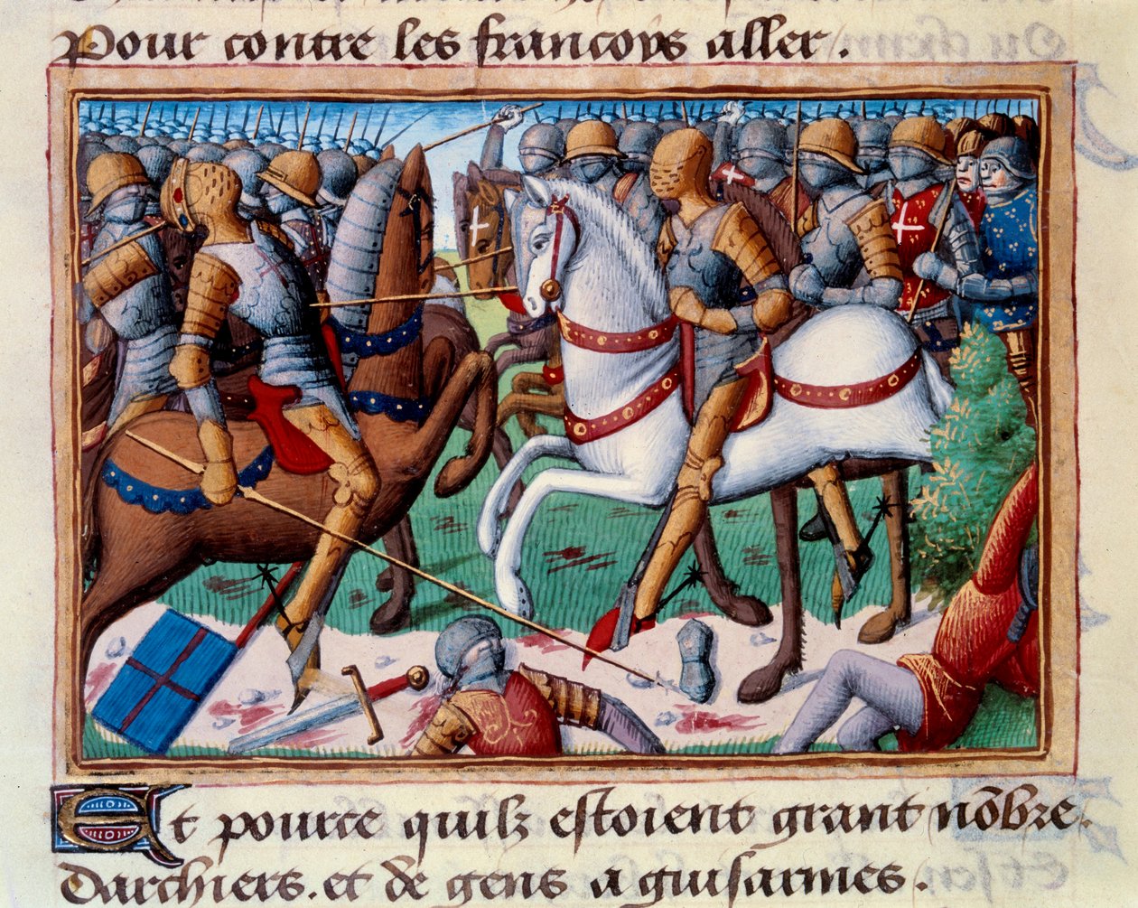 Anjou