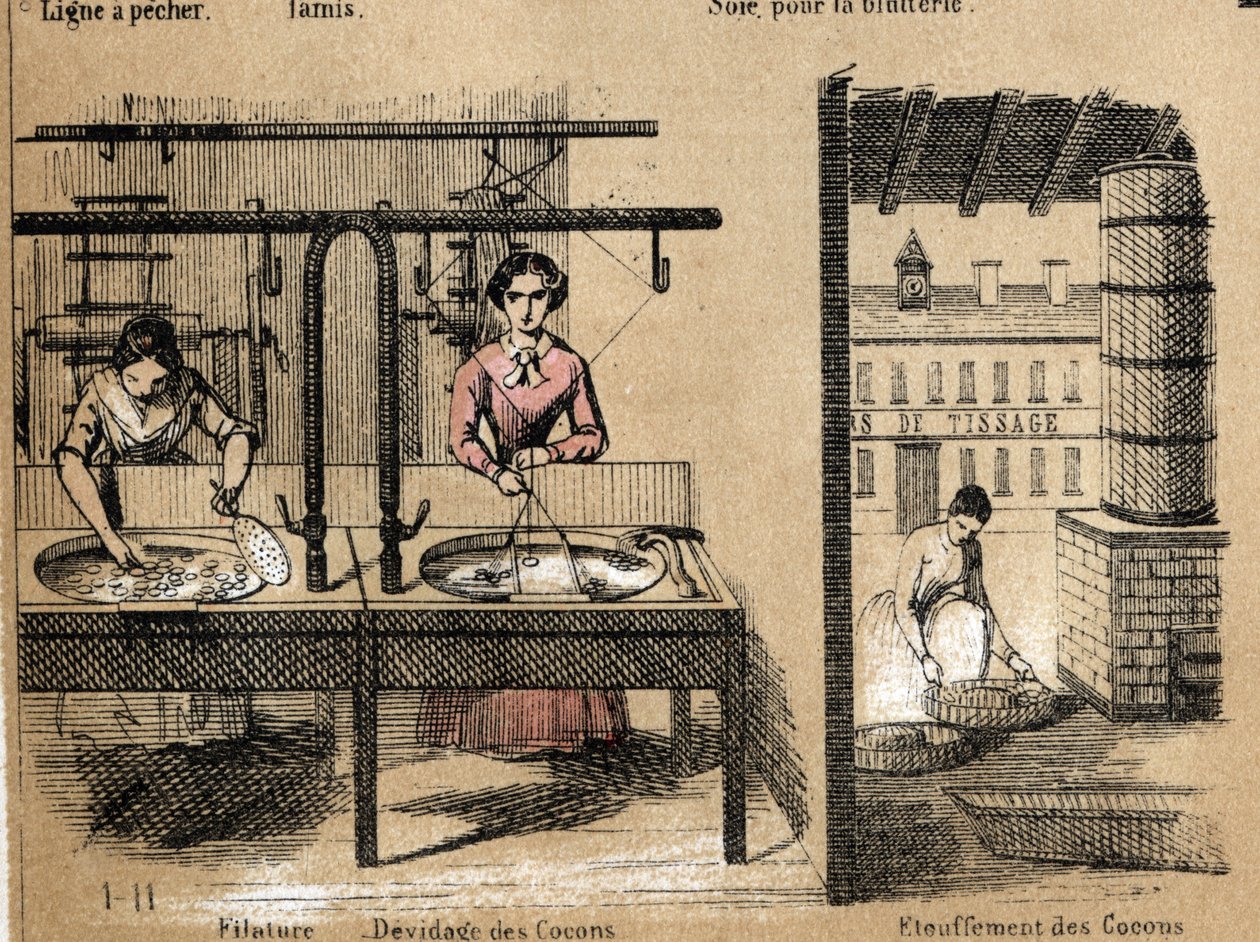 Mahsul ve ipek ürünlerinin tanımı: ipek ören, kozaları söken veya boğan işçiler. “Les Recreations Instructives” içindeki “la soie” levhası Jules DELBRUCK imzalı sinoptik resim, 1860 tarihli gravür. Özel koleksiyon. by French School