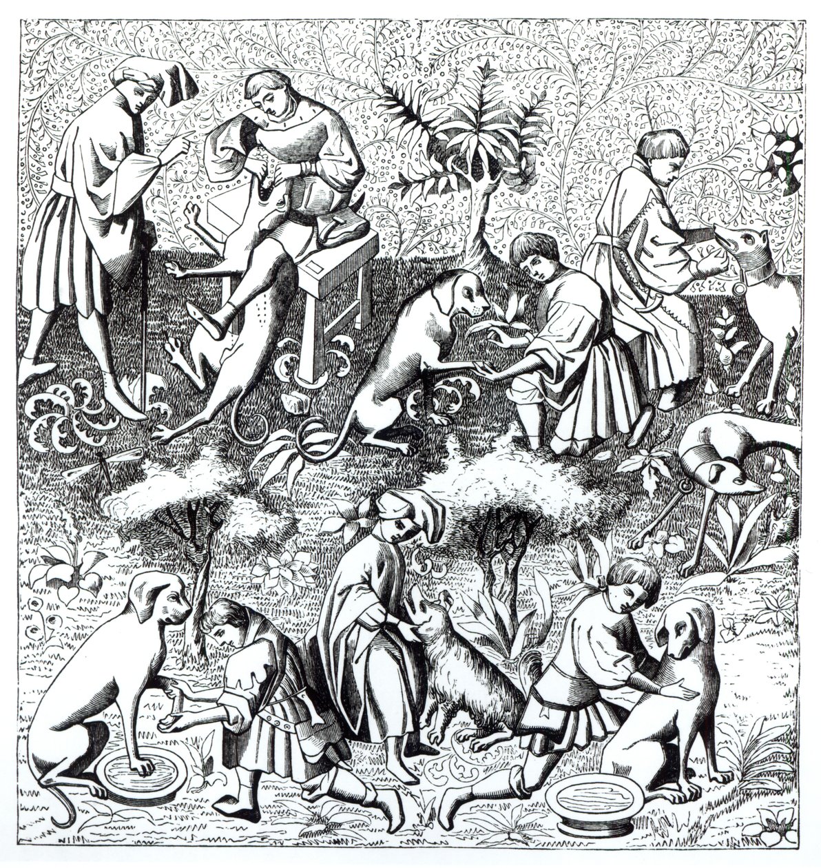 Gaston de Foix