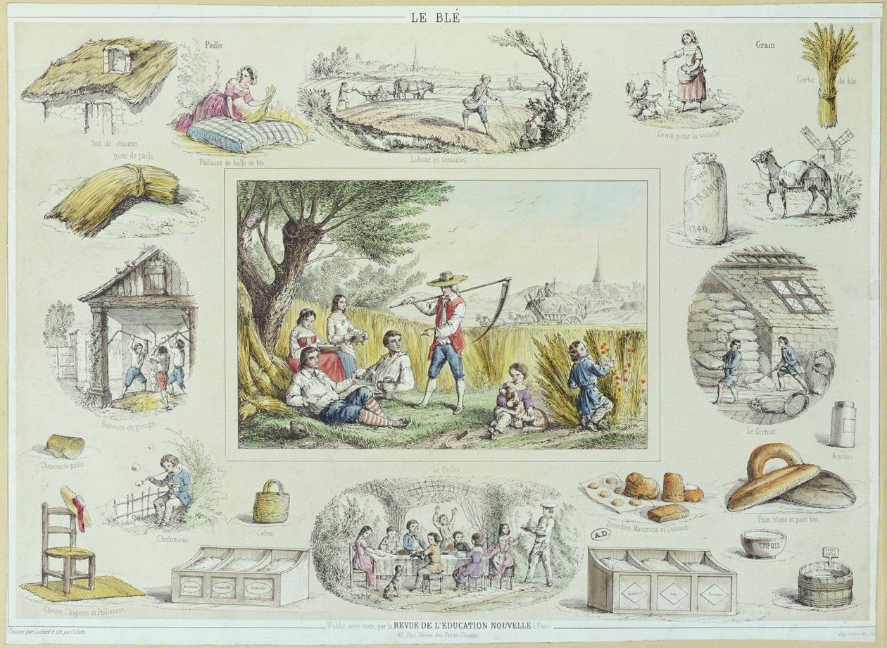 Mısırın eğitici illüstrasyonu, c.1860-70 (renkli gravür) by French School