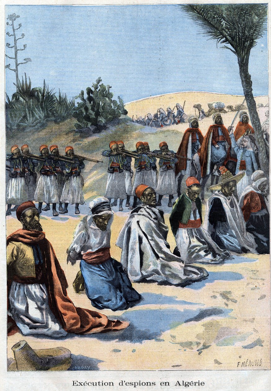 Güney Cezayir