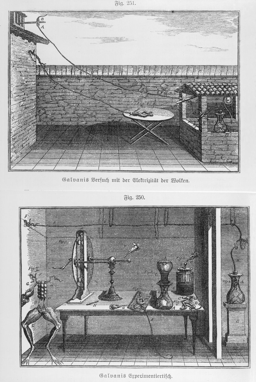 18. yüzyılın sonlarında Louis Galvani (1737-98) tarafından kurbağalar üzerinde deney by French School
