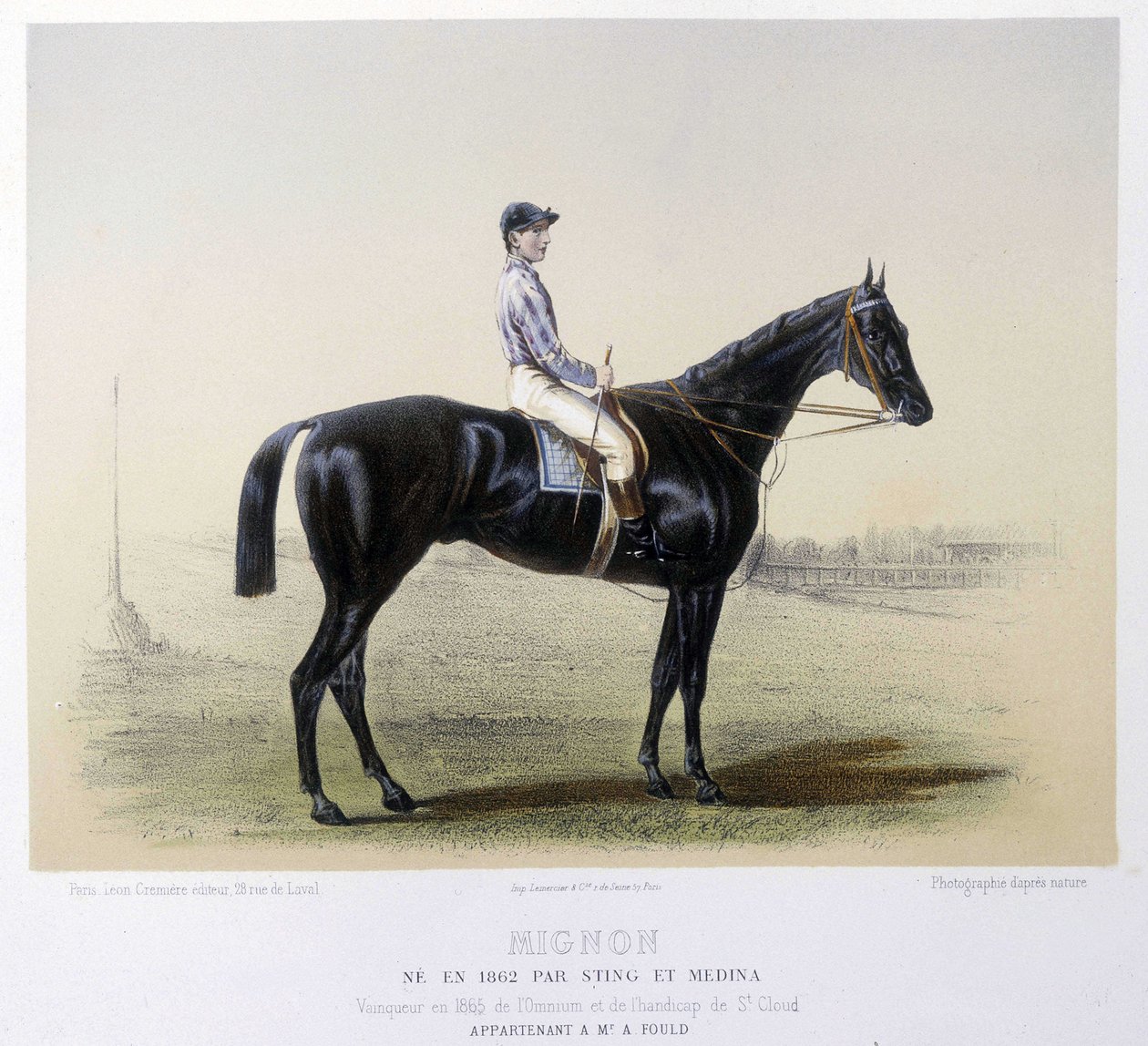 Ünlü yarış atı - “” Centaur”da” 1866 by French School