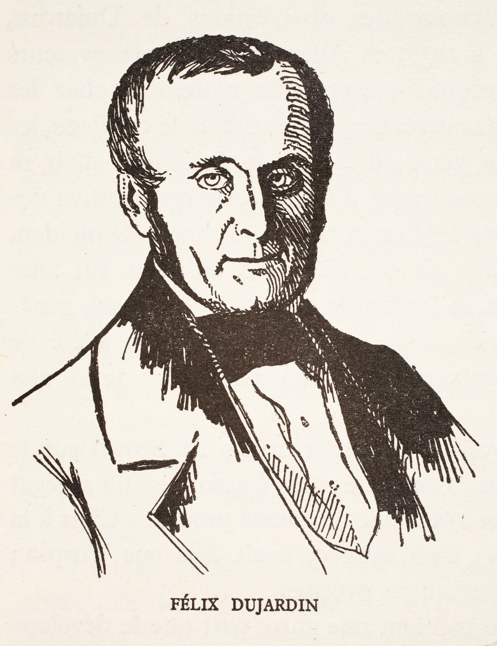 felix dujardin by French School