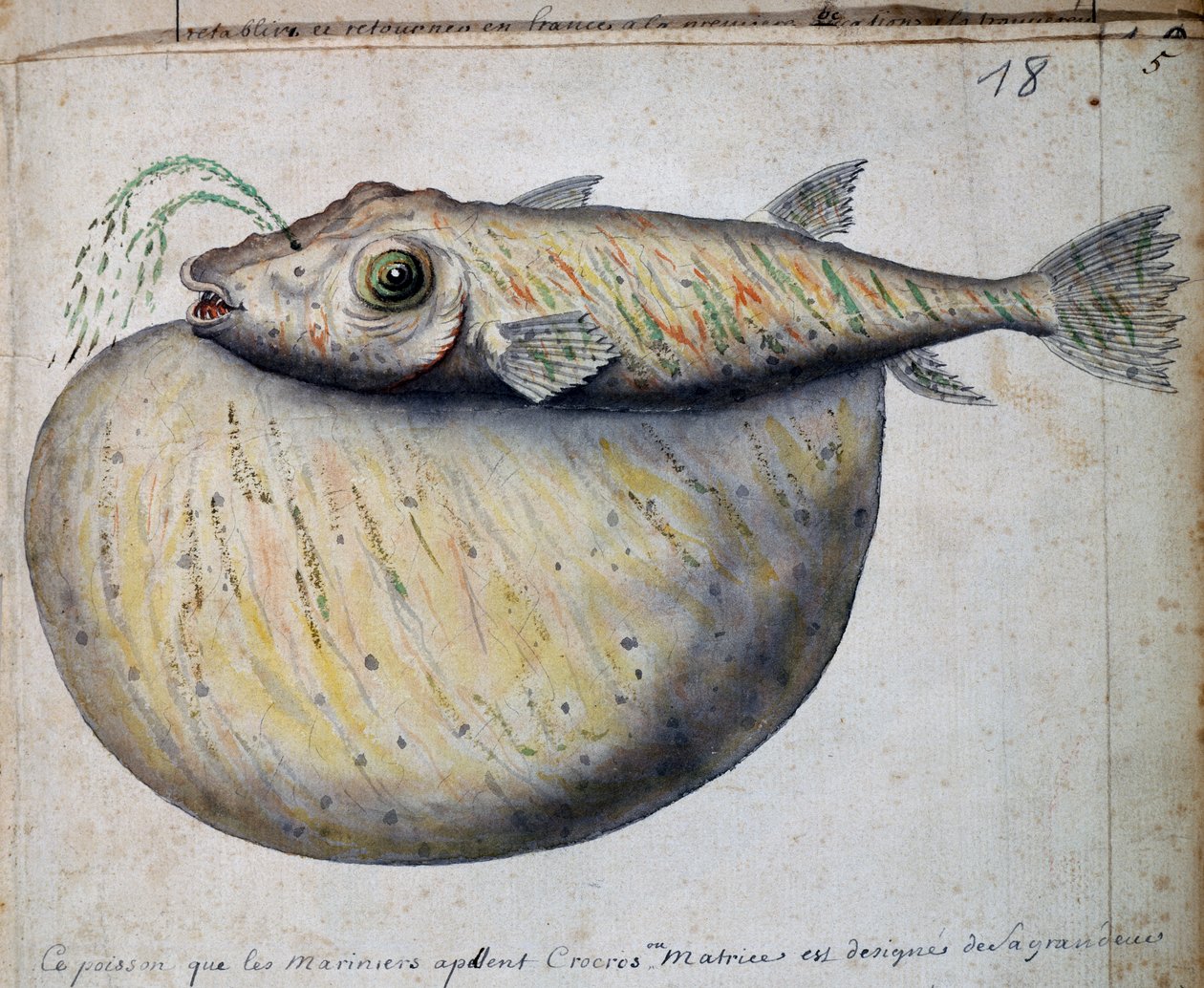 Crocros, Sao Vicente adası, Cape Verde, Jacques Gouin de Beauchesne (1652-1730), Compagnie royale de la Mer du Sud
