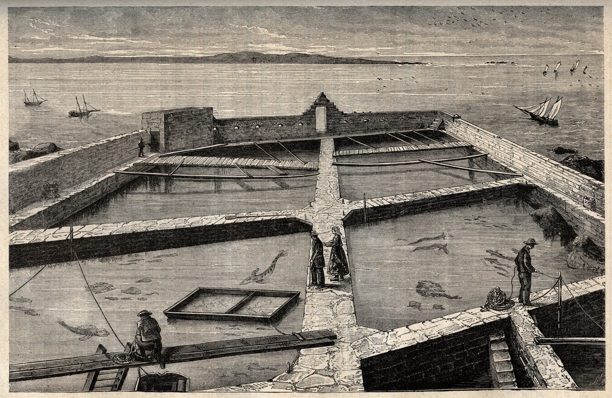 Concarneau
