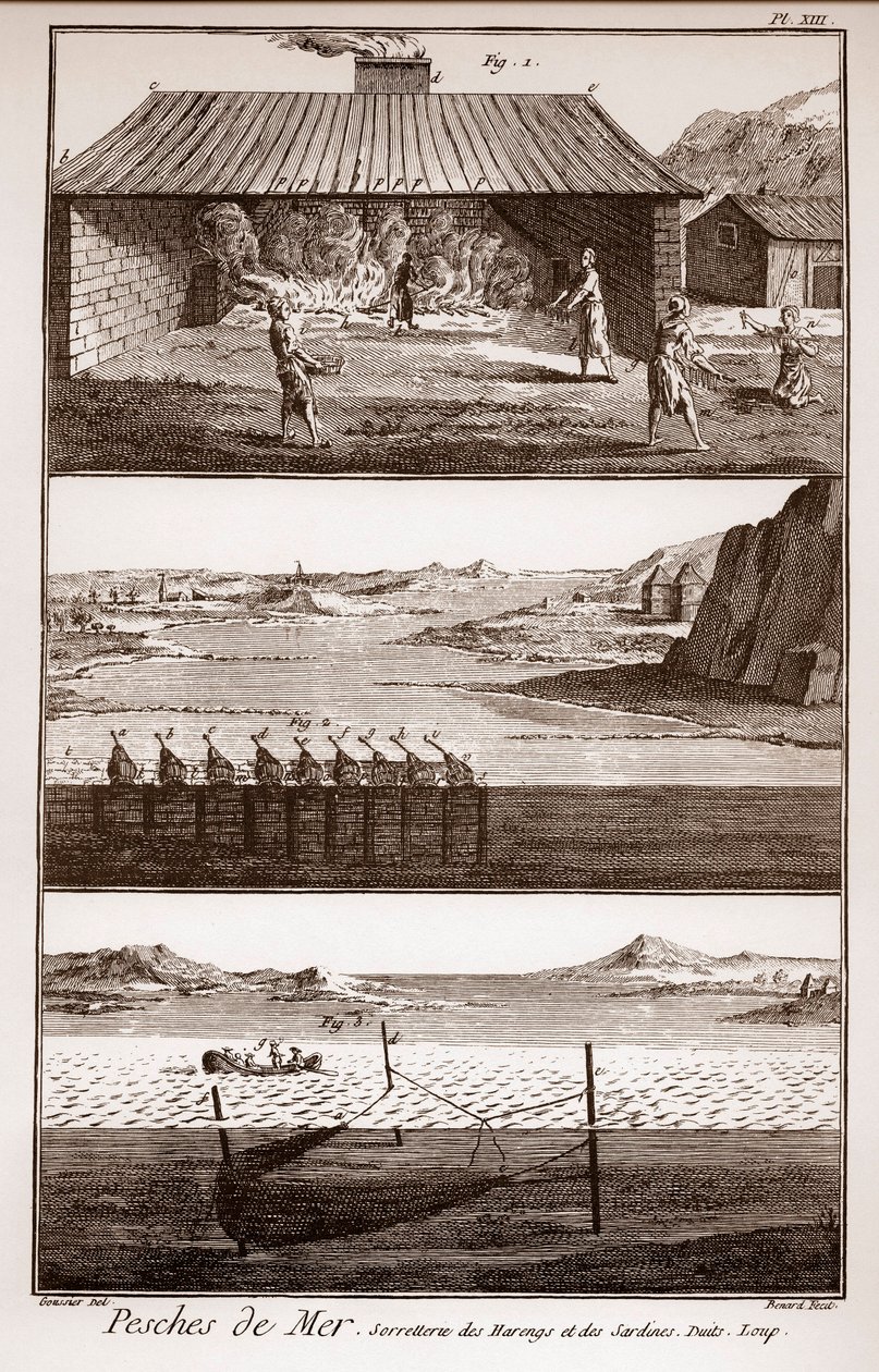 Balıkçılık, ringa balığı ve sardalye - Peches de Mer - Ringa balığı et des sardalya sorretterie - “” La Grande Encyclopédie, ou Dictionnaire Raisonne des Sciences, des Arts et des Metiers”” (Encyclopedia or Dictionary of the Sciences, Arts and Professions) by French School