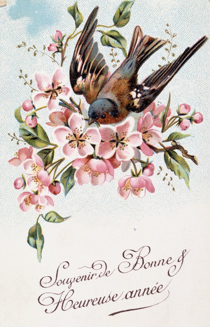  by French School