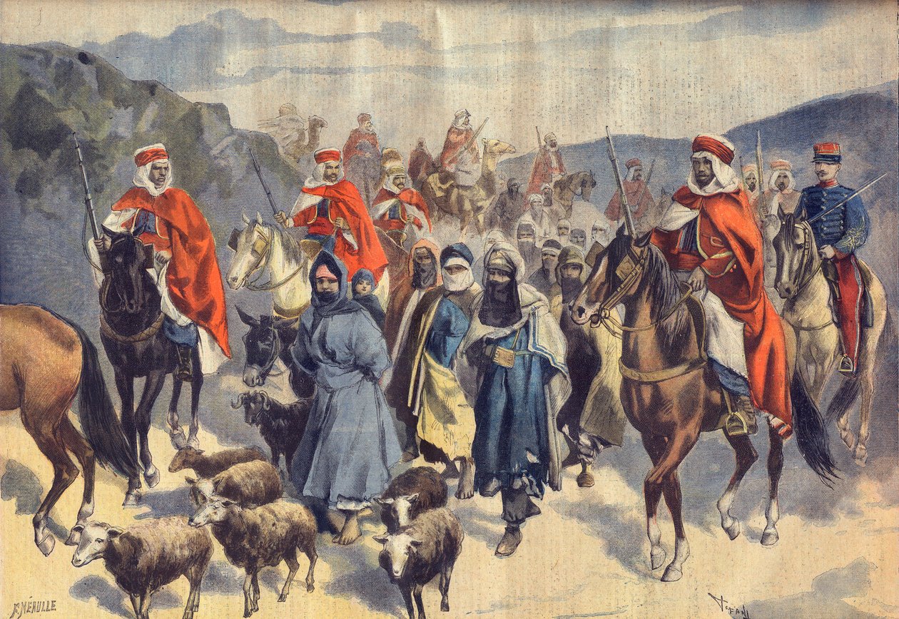 Güney Cezayir