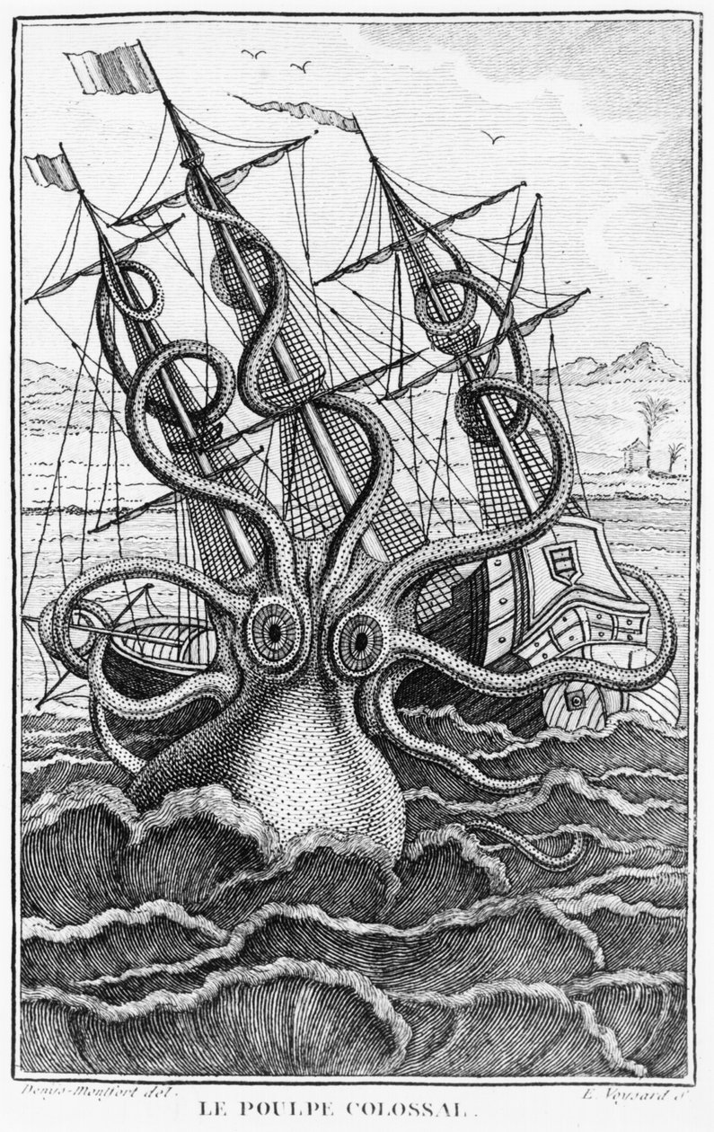 Dev Ahtapot, LHistoire Naturelle Generale et Particuliere des Mollusques, Denys-Montfort, c. 1802-03 by French School