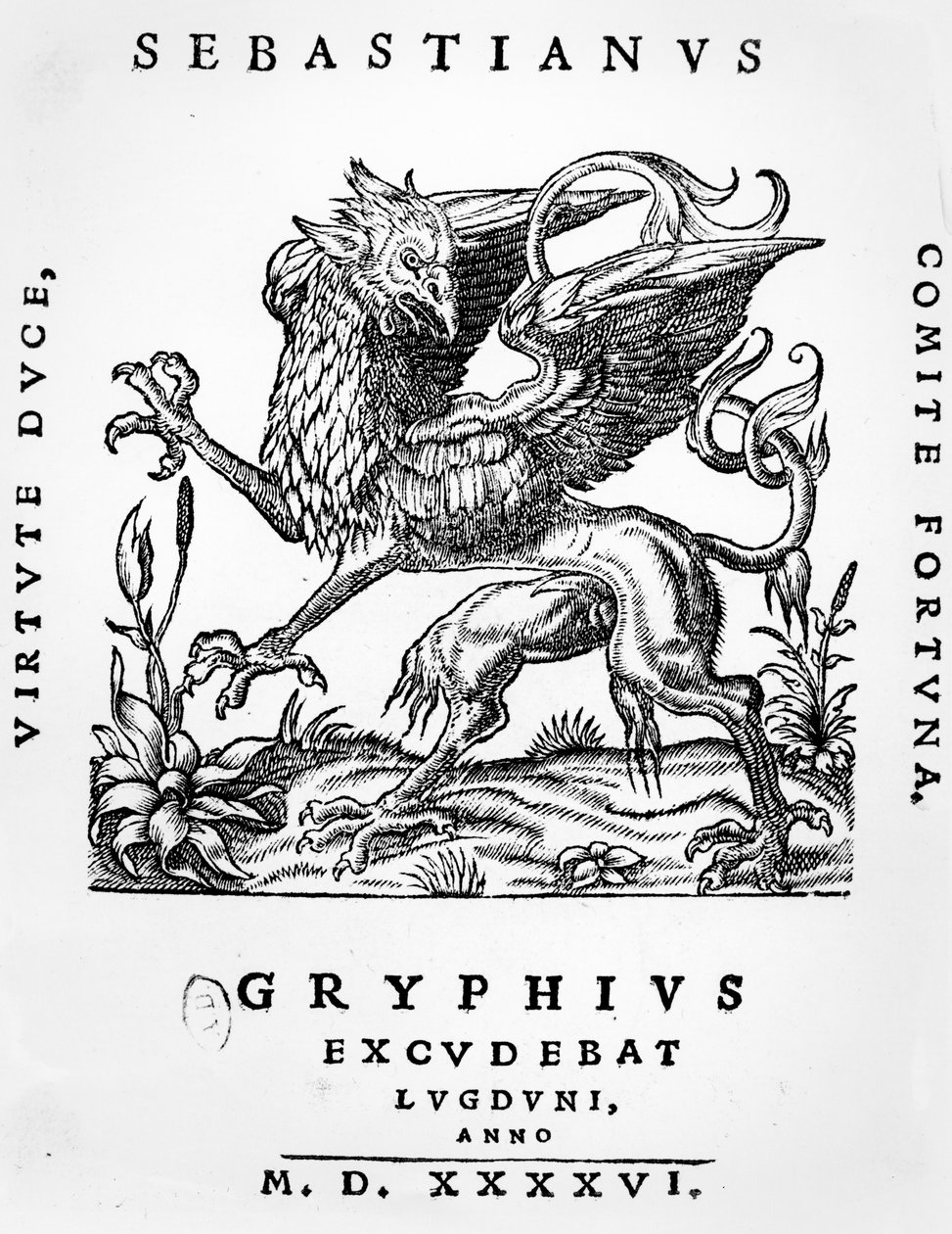 Griffin yazıcılar Sebastianus Gryphius amblemi, Lyon, 1546 by French School