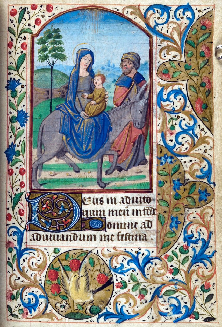 H/L-3-3 fol. 74r Mısır