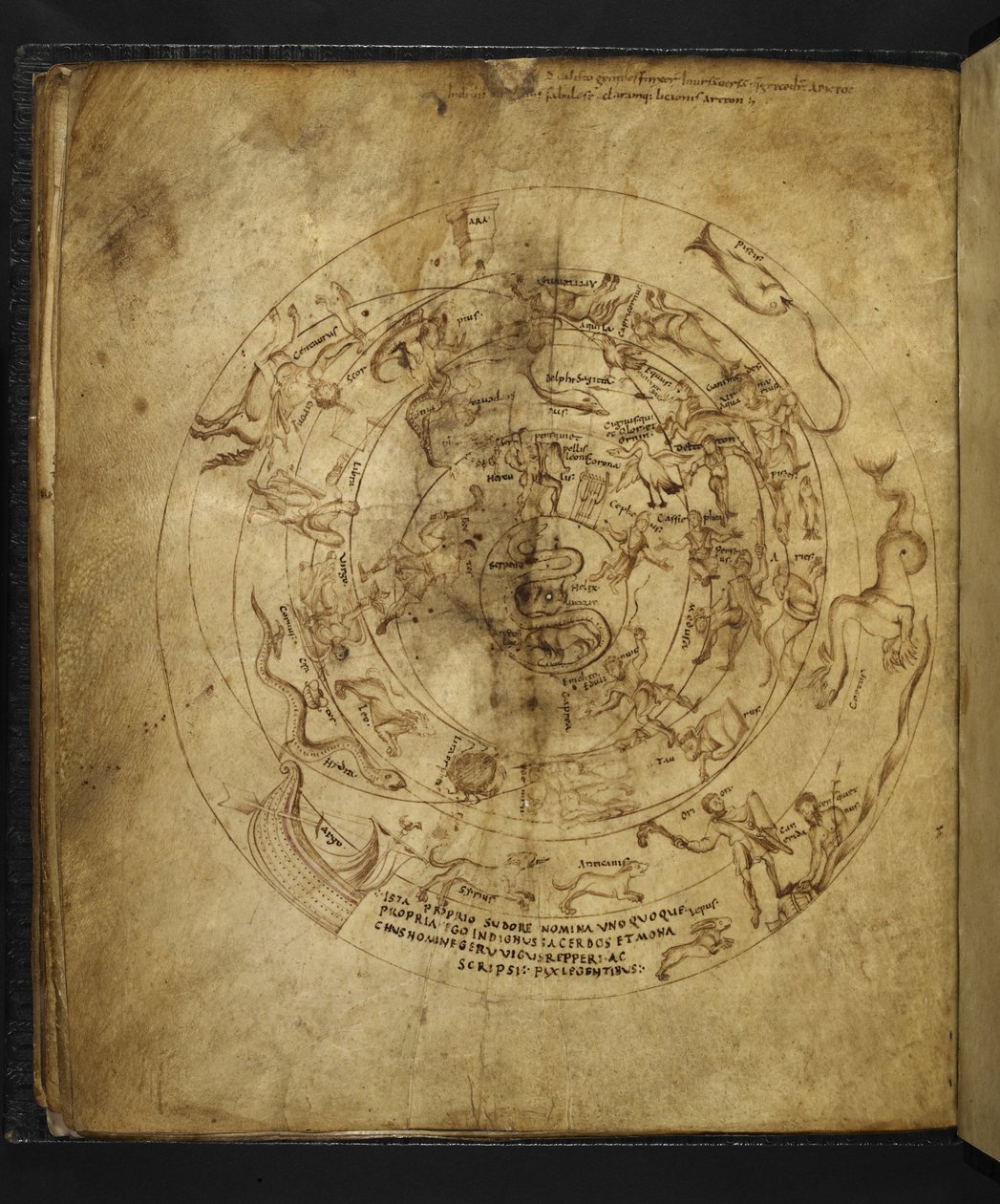 Harley 647 f.21v Kuzey ve Güney Yarımküre diyagramı, Marcus Tullius Cicero (parşömen) tarafından 