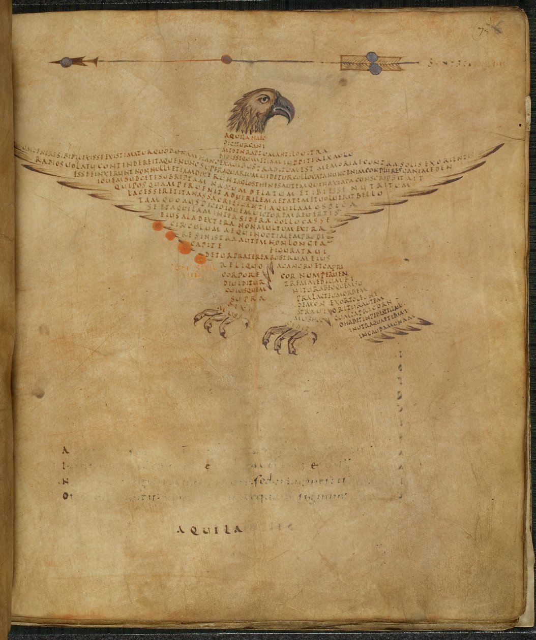 Harley 647, f.7 