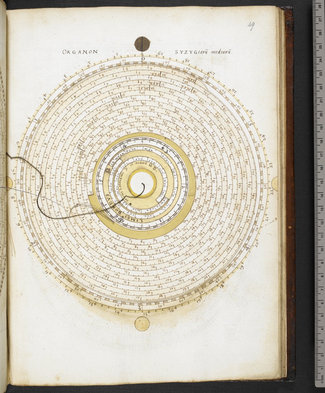 Harley MS 3263 f.49 