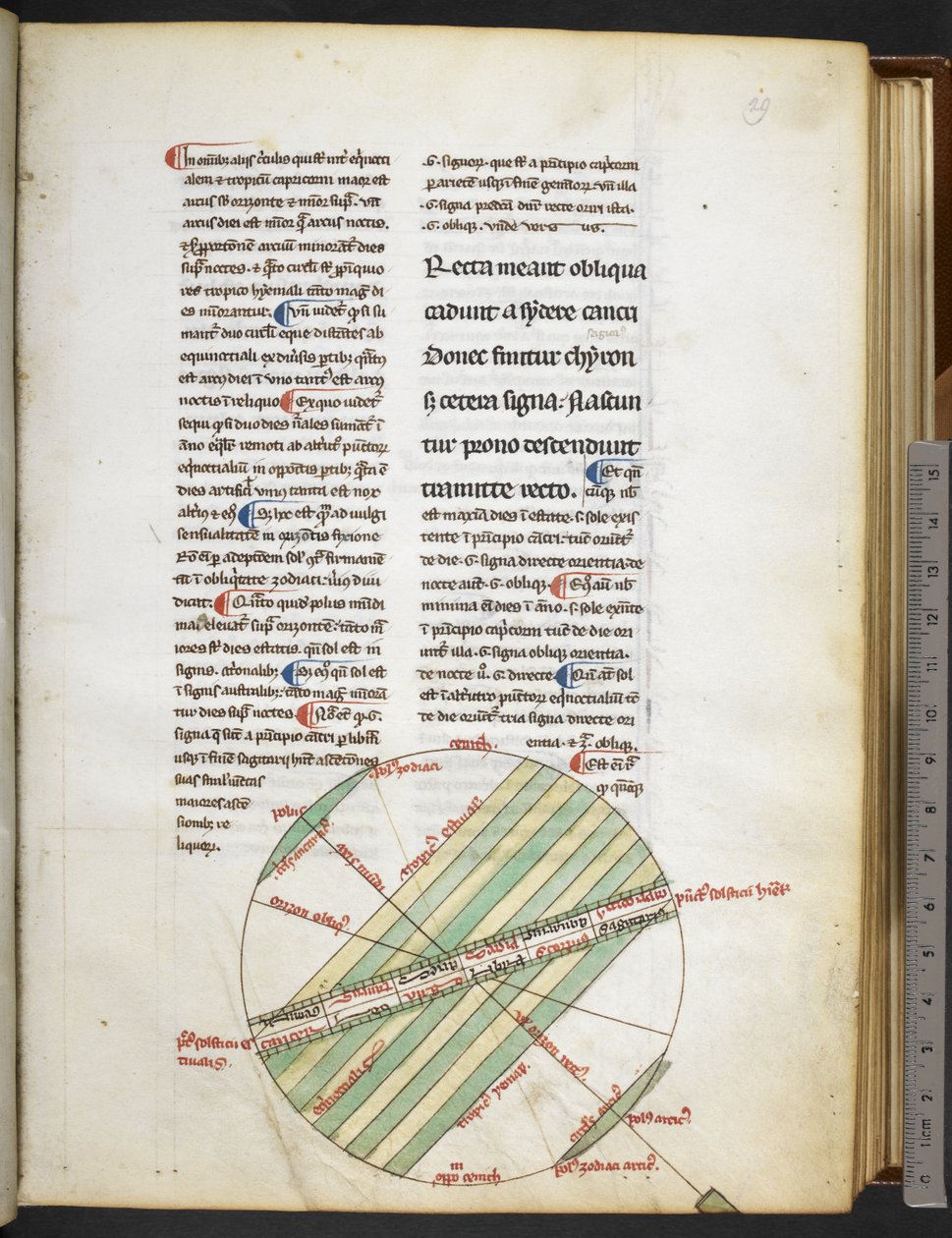 Harley MS 3647 f.29 