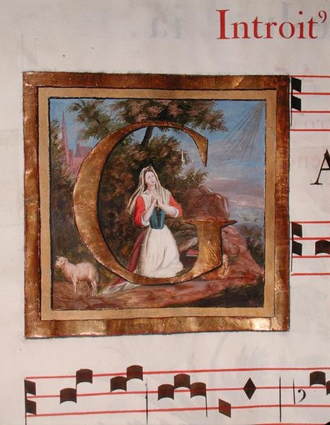 St. Genevieve