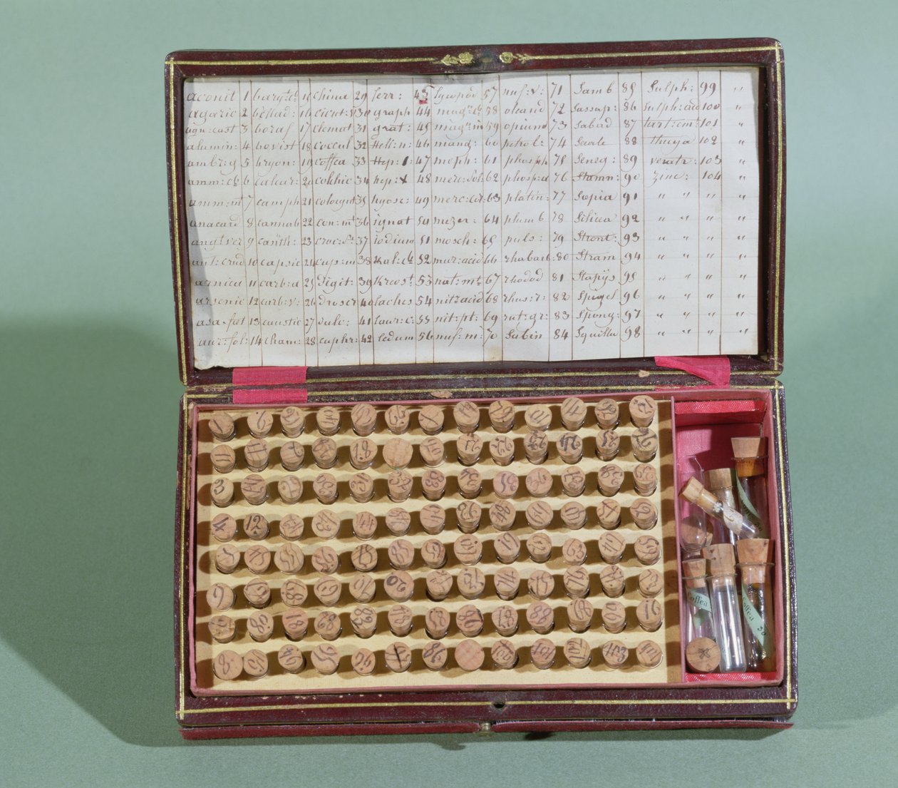 Homeopatik ilaç çantası, 19. yüzyılın 2. yarısı by French School