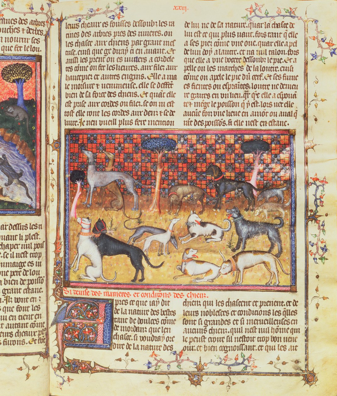 Av Köpekleri, Gaston III, Kont de Foix Phebus le Chasseur (1331-91), Livre de la Chasse