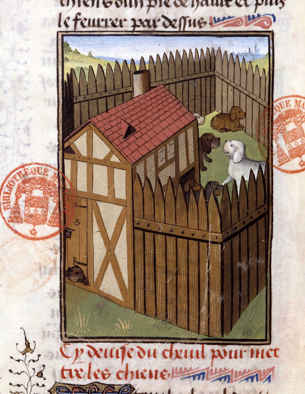 Köpek kulübesinde av köpekleri - “” Gaston Phoebus, Count of Foix, Lord of Bearn