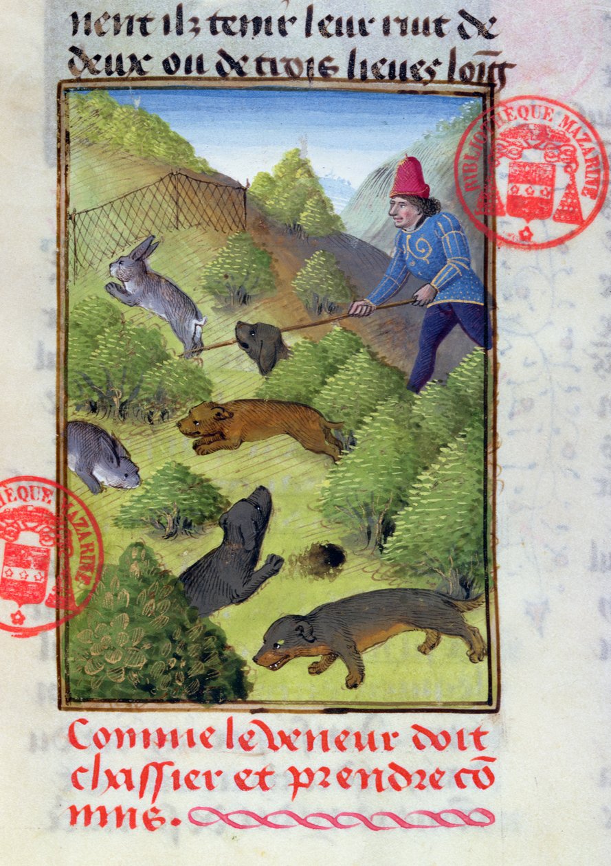 Gaston Phebus tarafından Livre de la Chasse
