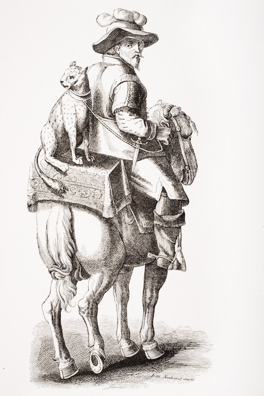 Leopar ile Avlanma, Jan Stradan