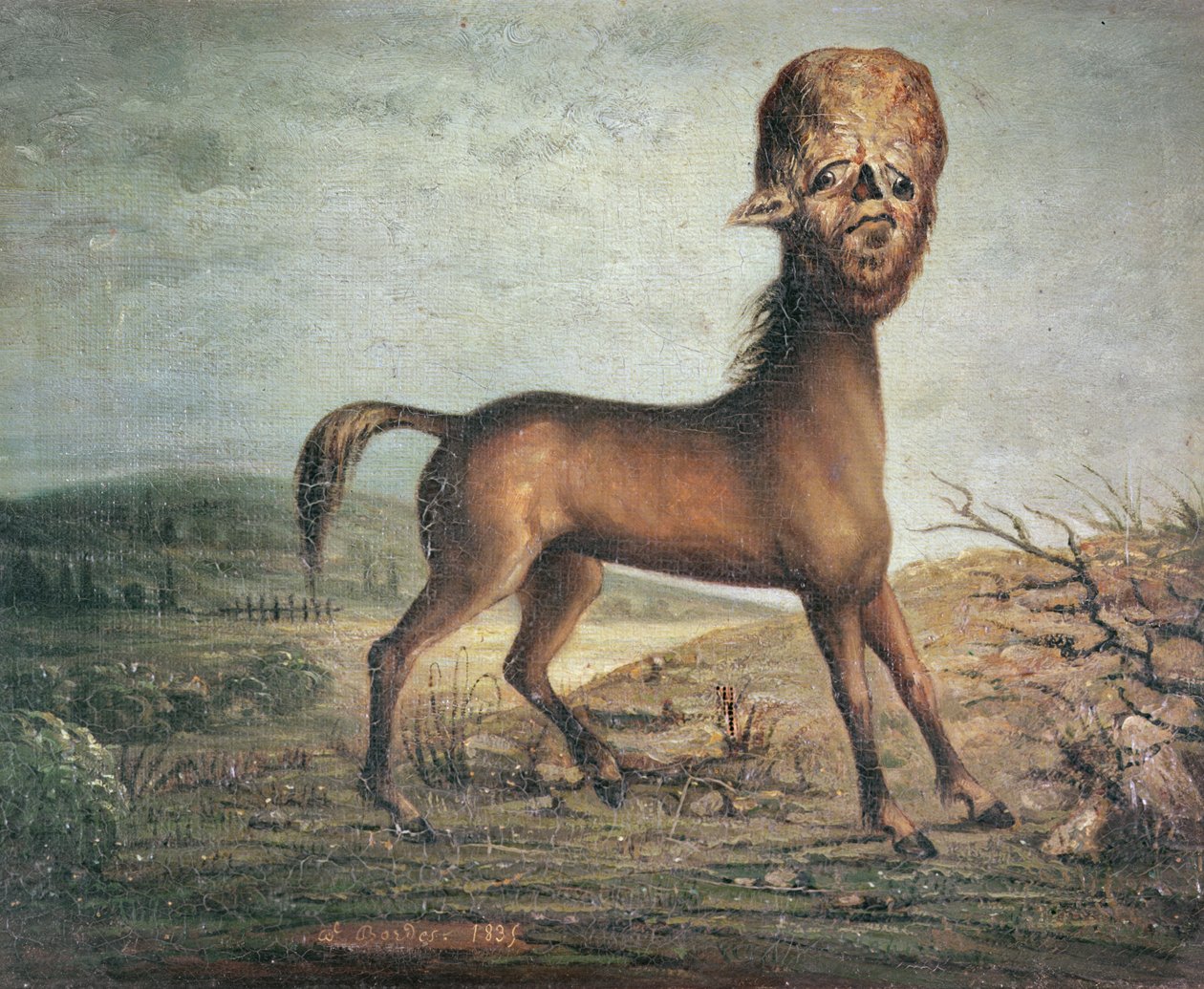 21 Ocak 1821, 1835 doğumlu hidrosefali kısrak by French School