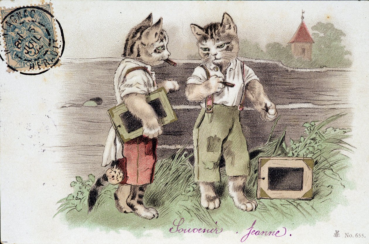 Durumdaki kedilerin illüstrasyonu - 20. yüzyılın başlarında kartpostal. by French School
