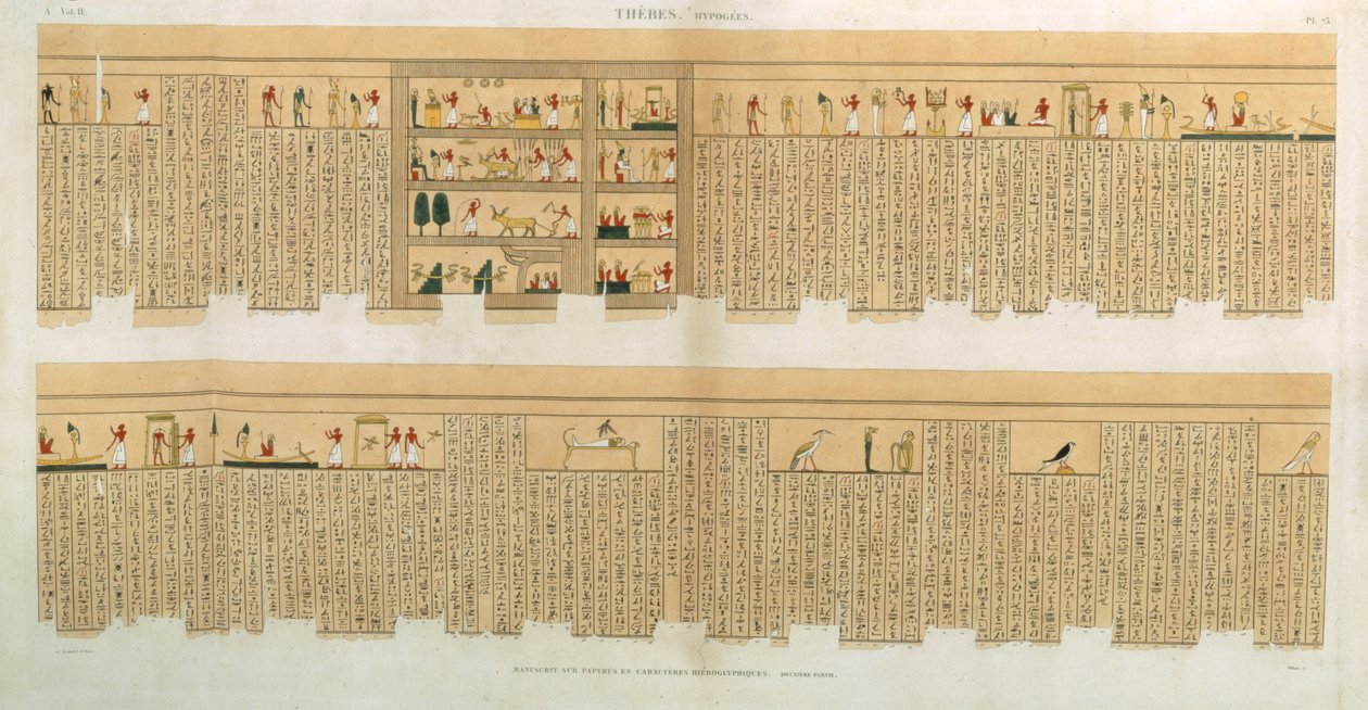 Hiyeroglif, Hypogees, Thebes içeren bir Pampus el yazmasının çizimleri, Willemin tarafından oyulmuş, 
