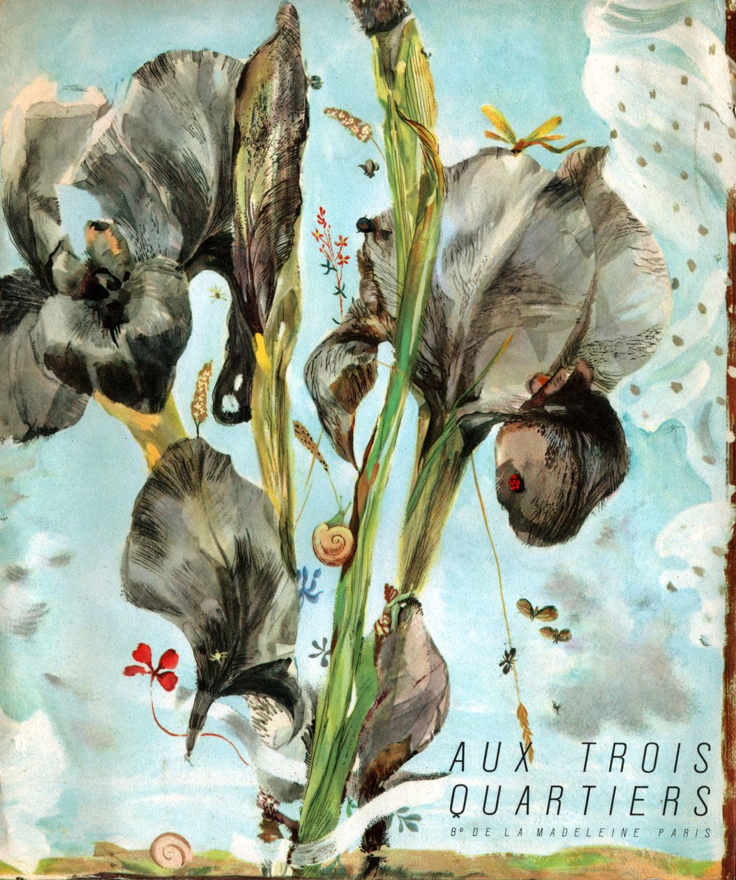 Iris çiçeği). (Resim, yaklaşık 1920) by French School