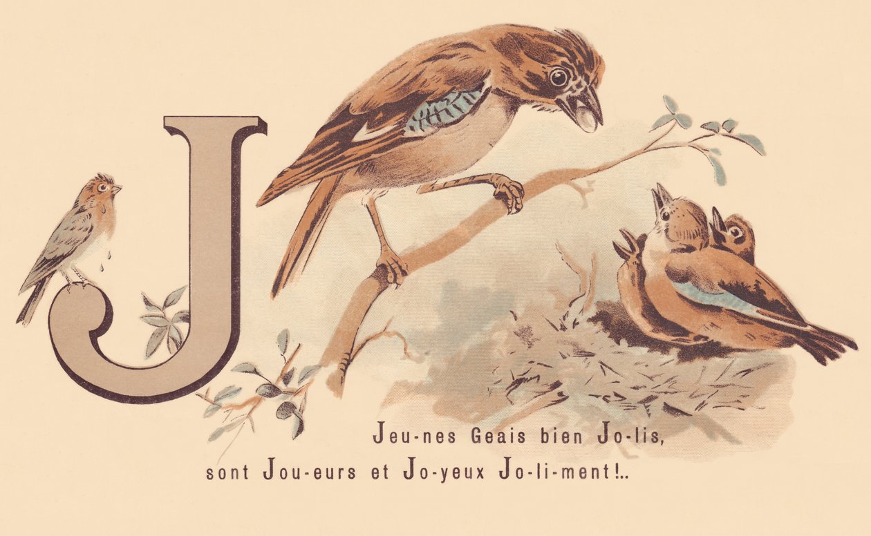 J: Genç Jays Pretty Oyuncular ve Mutlu Jolily! by French School
