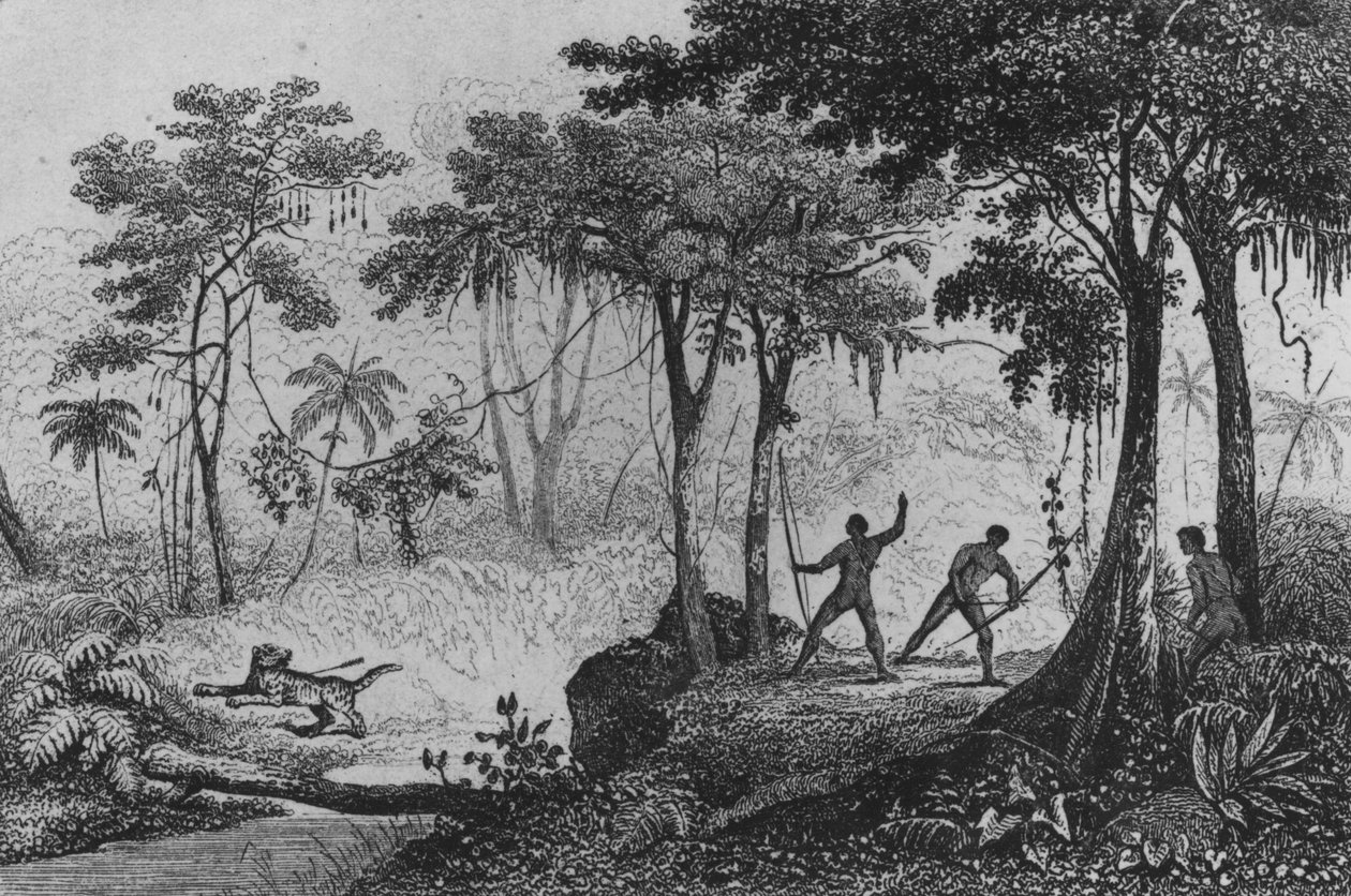 Jaguar Hunt, Ferdinand Denis ve Cesar Famine 1837