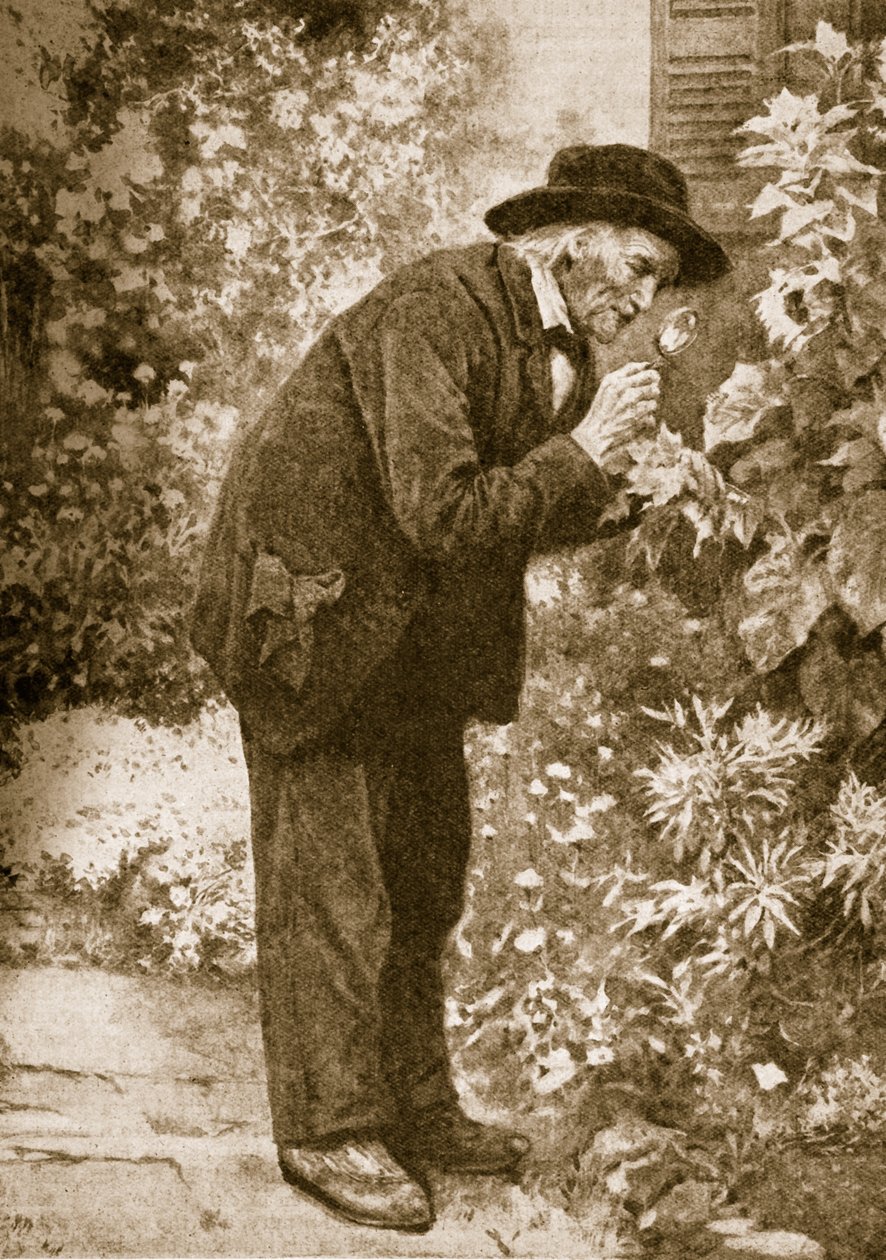 Jean-Henri Fabre böcekleri gözlemliyor by French School