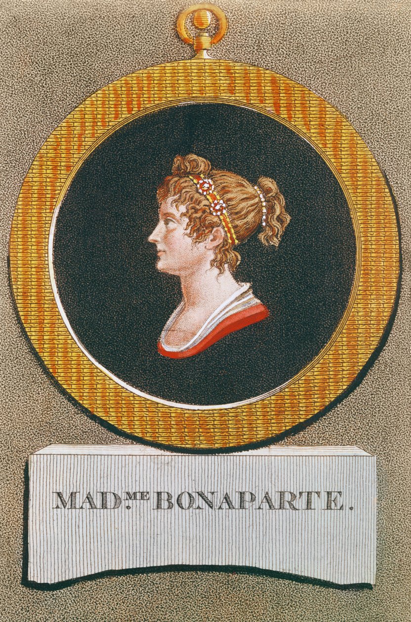 Josephine Bonapart (1763-1814) by French School