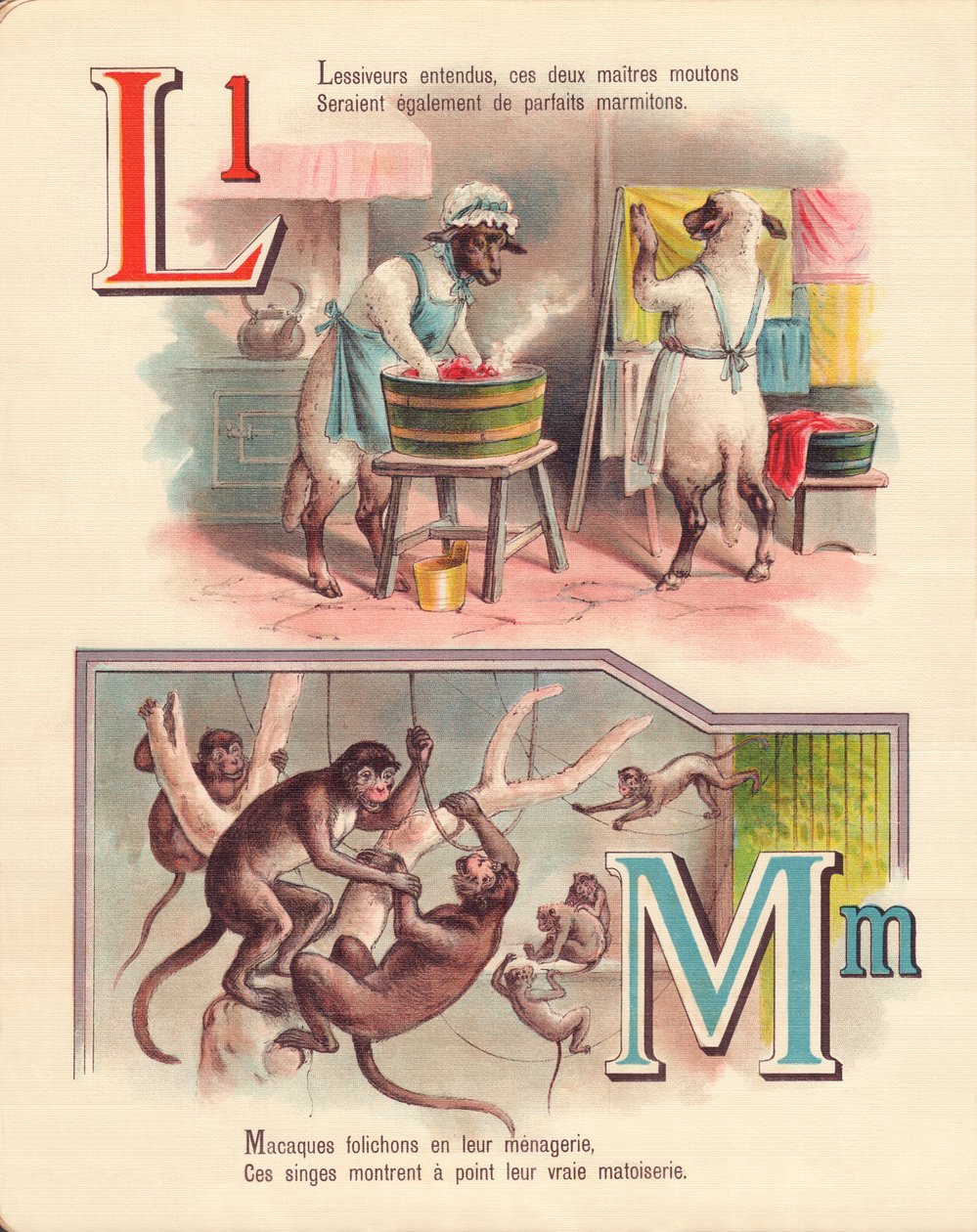 LM: Kuzu, çamaşırhane, maymunlar, hayvanat bahçesi by French School