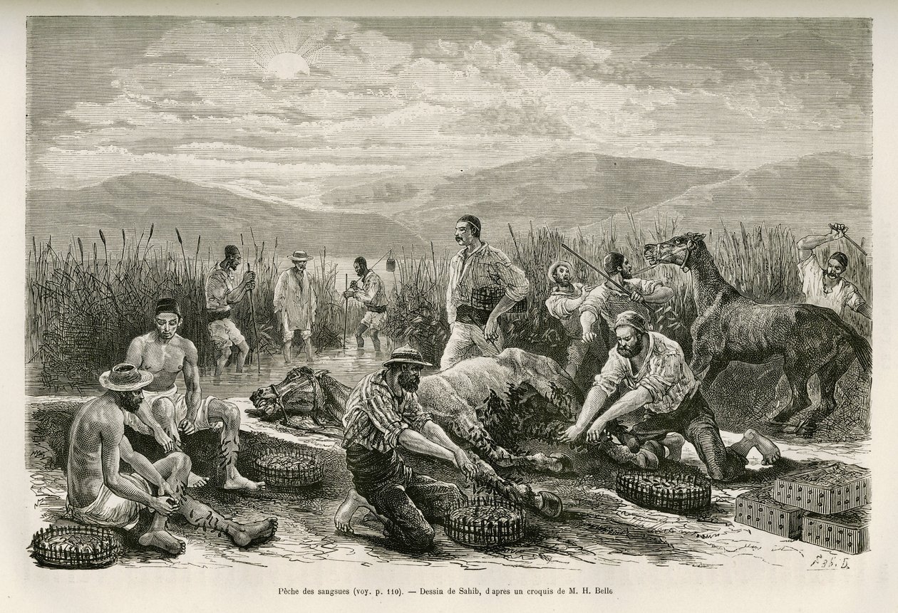 La peche des leeches, Sahib tarafından Henri Belle