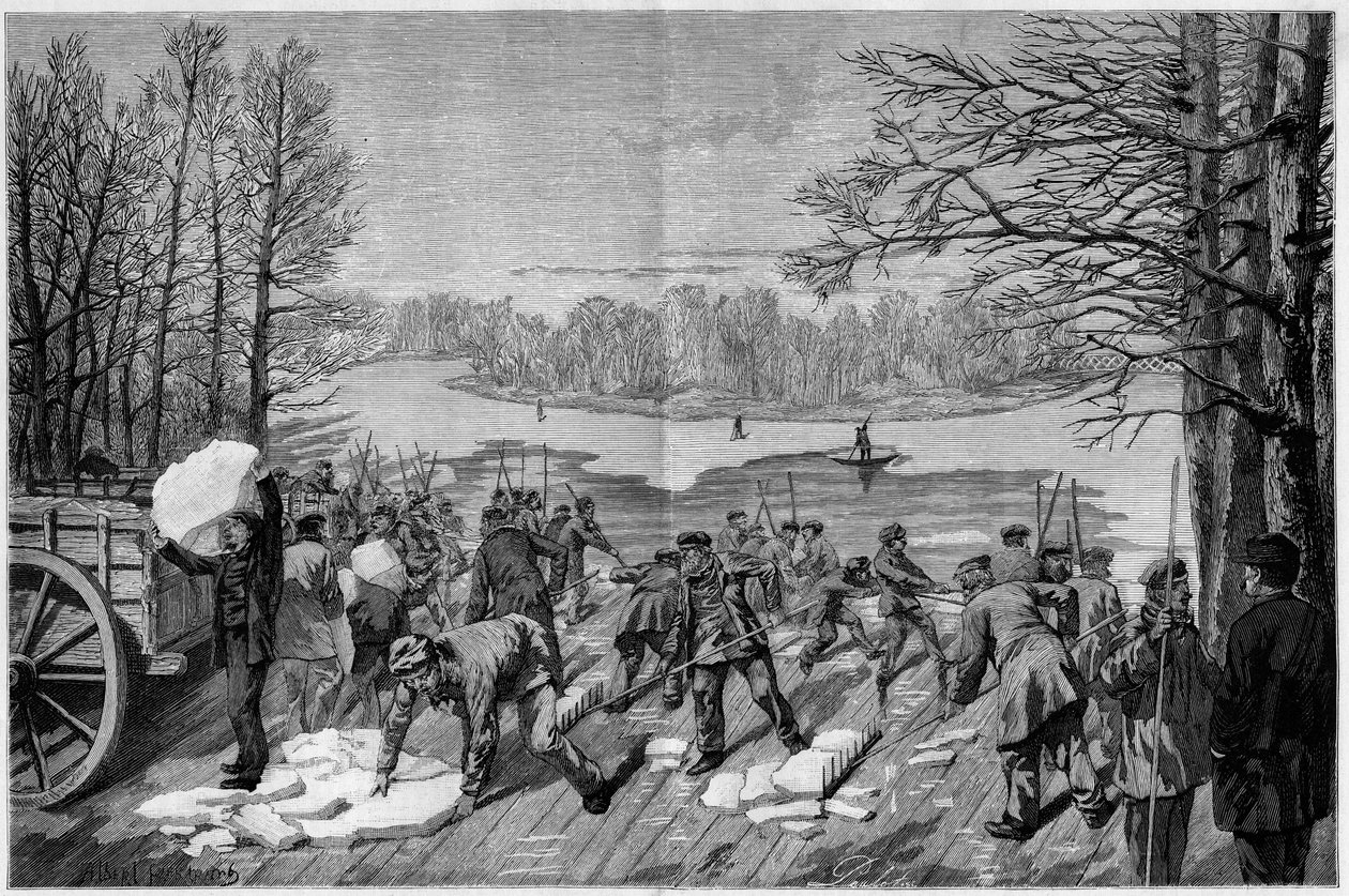 Bois de Vincennes