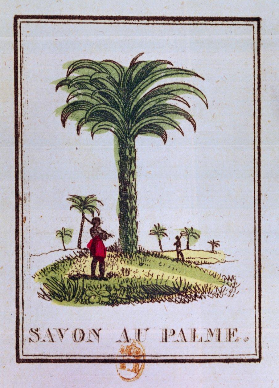 Palmiye ağacını gösteren, palmiye yağı kokulu sabun etiketi by French School
