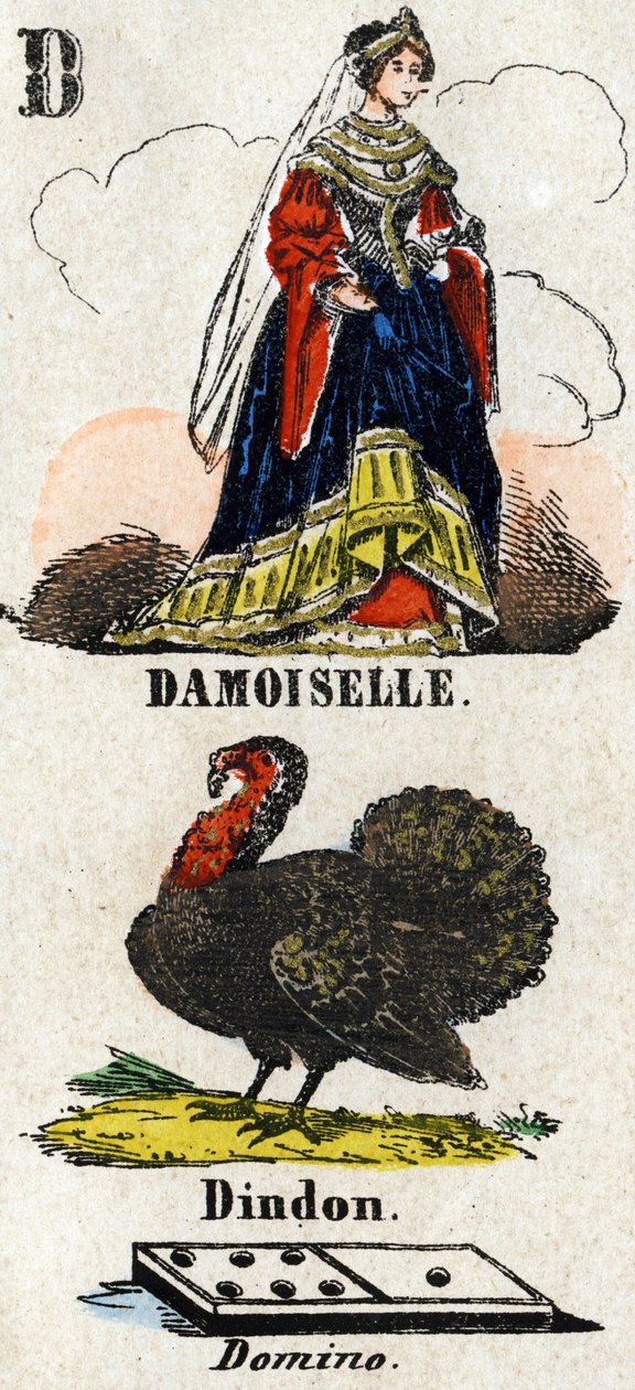Damoiselle, hindi ve domino olarak D harfi. Küçük ansiklopedik alfabe. Epinal